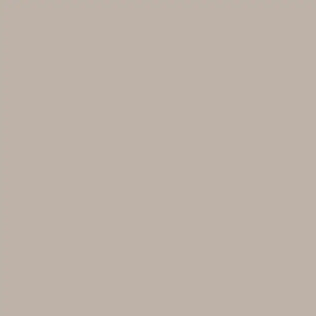 Pet Silk Beige Matt