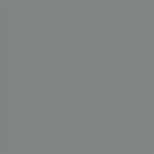 daytona grey