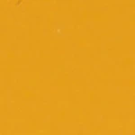 Bright Mustard